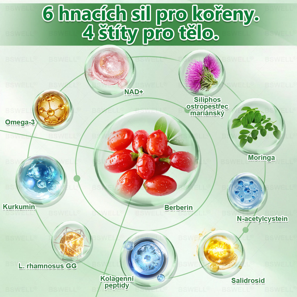 🌿🌿BSWELL® Nano mikrovpichová zeštíhlující náplast✨(Stačí použít pouze jednou denně – viditelné změny již za 28 dní) ✅Bezbolestná, dlouhotrvající, zaměřená na řešení cukrovky, obezity a kardiovaskulárních onemocnění