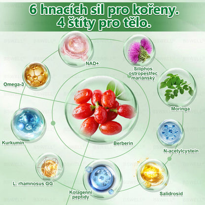 🌿🌿BSWELL® Nano mikrovpichová zeštíhlující náplast✨(Stačí použít pouze jednou denně – viditelné změny již za 28 dní) ✅Bezbolestná, dlouhotrvající, zaměřená na řešení cukrovky, obezity a kardiovaskulárních onemocnění