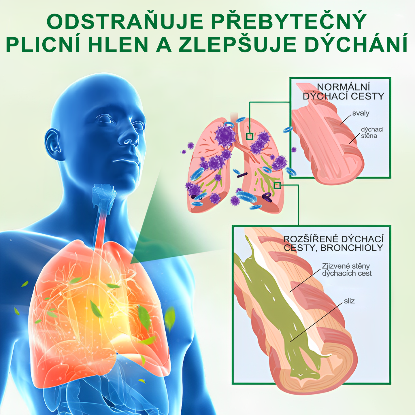 🍃𝐆𝐨𝐨𝐲𝐞𝐞𝐫™ Pokročilý sprej na čištění plic -🧑‍⚕️ Podporuje zdraví plic, průdušek a dutin, napomáhá zdraví dýchacího systému a usnadňuje dýchání.