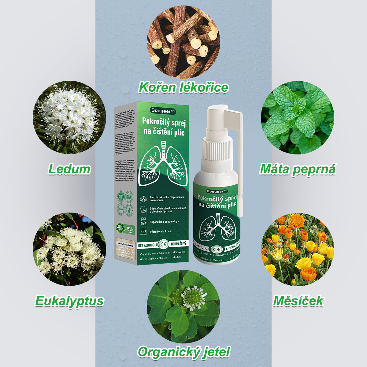 🍃𝐆𝐨𝐨𝐲𝐞𝐞𝐫™ Pokročilý sprej na čištění plic -🧑‍⚕️ Podporuje zdraví plic, průdušek a dutin, napomáhá zdraví dýchacího systému a usnadňuje dýchání.